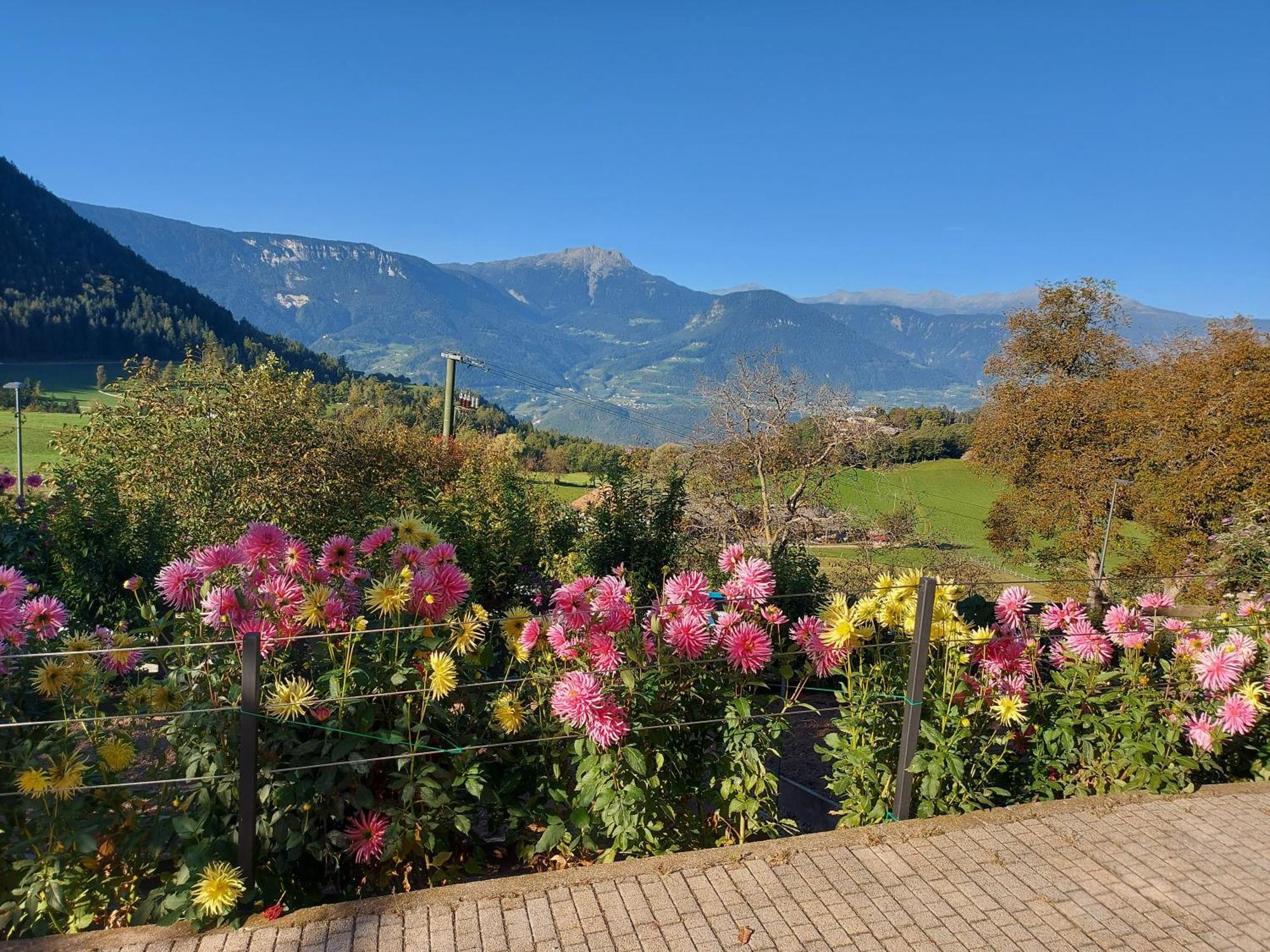 Alpenrose Apartment Meltina Exterior photo